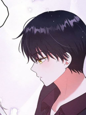 Chapter 50.0
