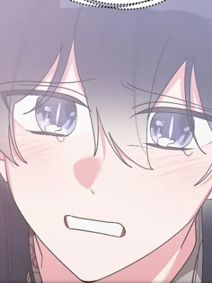 Chapter 95.0