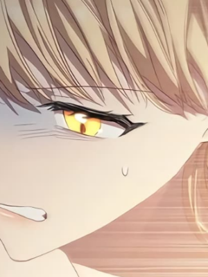 Chapter 53.0