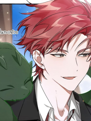 Chapter 95.0