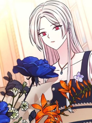 Chapter 68.0