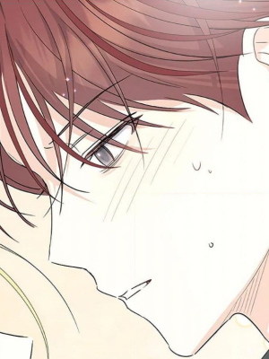Chapter 17.0