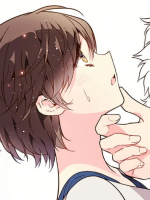 Chapter 110.0