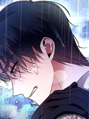 Chapter 40.0