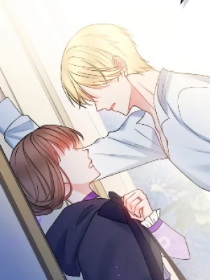 Chapter 19.0