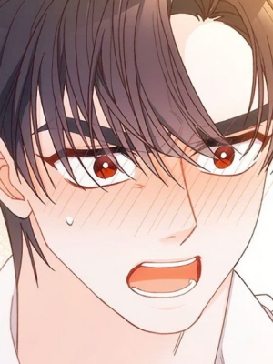 Chapter 66.0