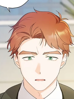 Chapter 119.0