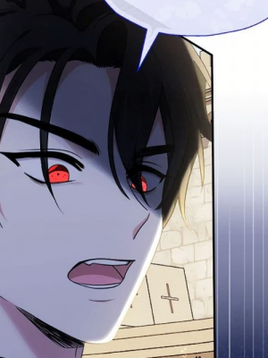 Chapter 62.0