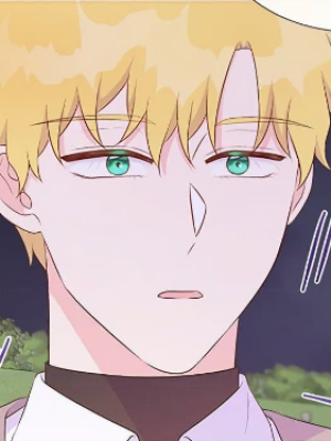 Chapter 85.0