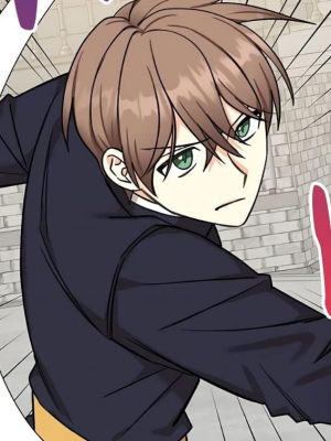 Chapter 85.0