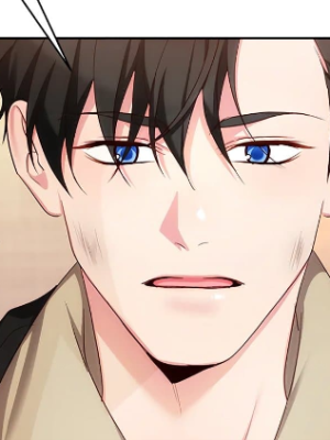 Chapter 48.0
