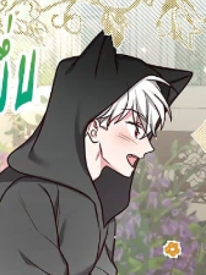 Chapter 50.0