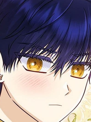 Chapter 41.0