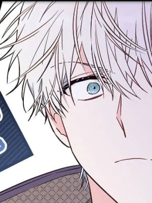 Chapter 48.0