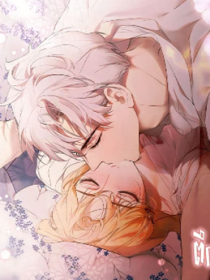 Chapter 114.0