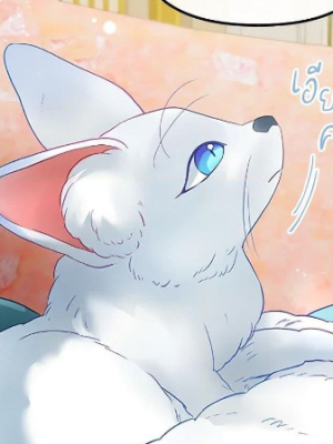 Chapter 97.0