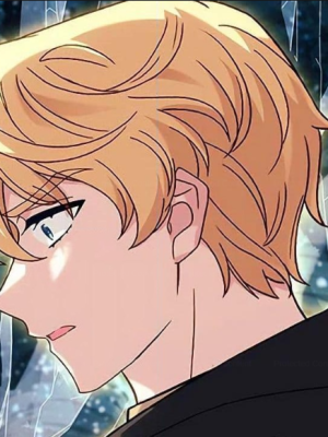 Chapter 154.0
