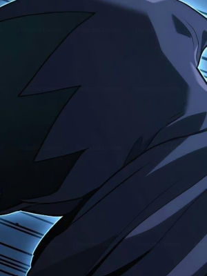 Chapter 48.0