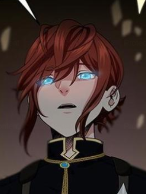 Chapter 95.0