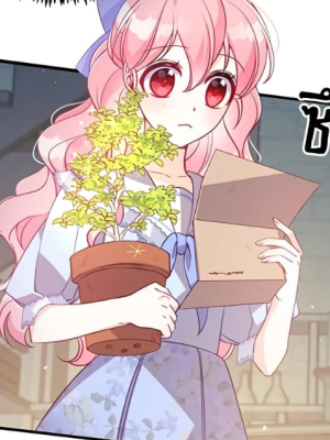 Chapter 42.0