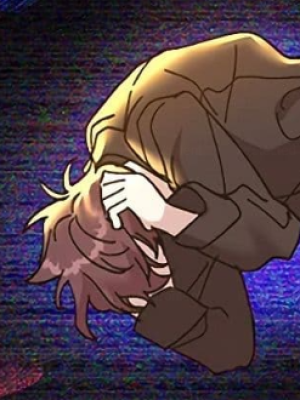 Chapter 85.0