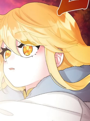 Chapter 55.0