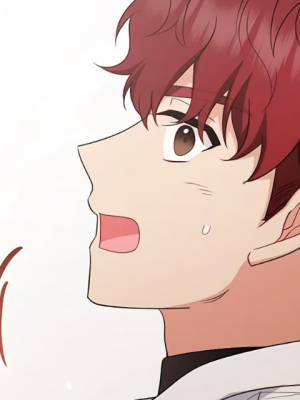 Chapter 50.0