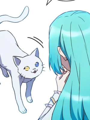 Chapter 135.0