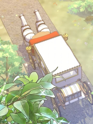 Chapter 41.0