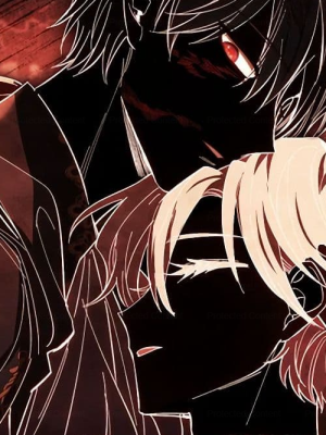 Chapter 68.0
