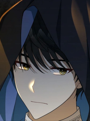Chapter 41.0
