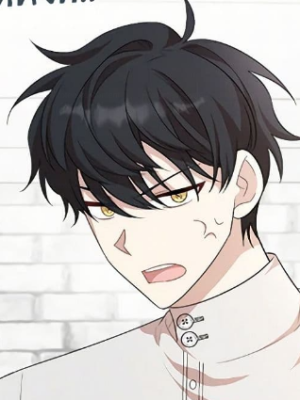 Chapter 55.0
