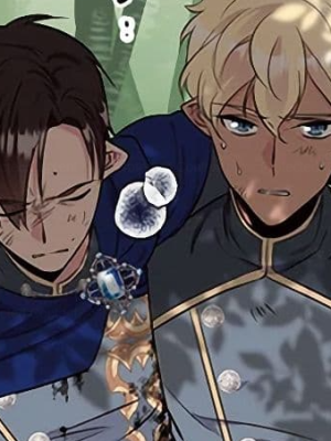 Chapter 81.0