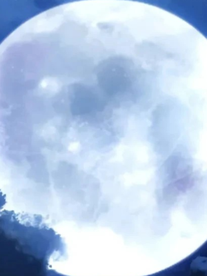 Chapter 11.0
