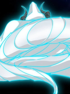 Chapter 133.0