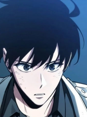 Chapter 208.0