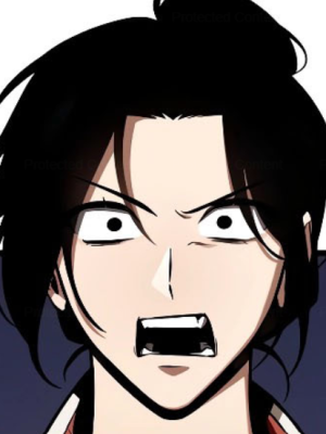 Chapter 212.0