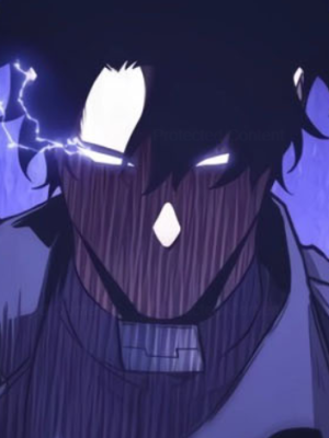 Chapter 215.0