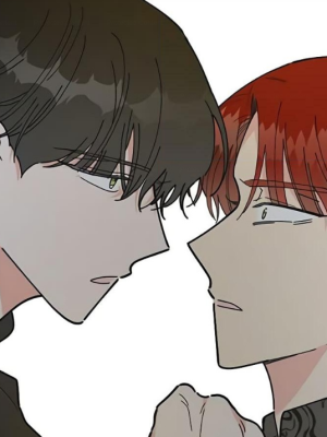Chapter 25.0