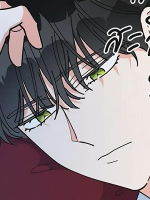 Chapter 33.0