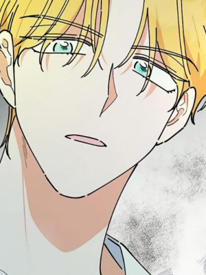 Chapter 41.0