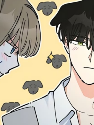 Chapter 46.0