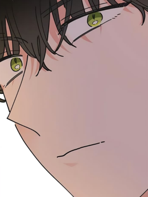 Chapter 50.0