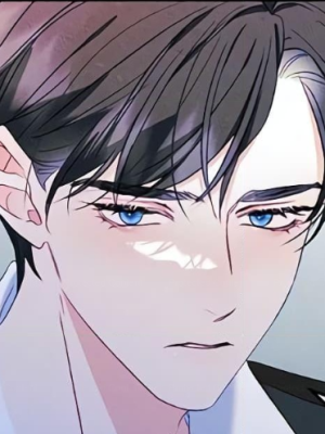 Chapter 51.0