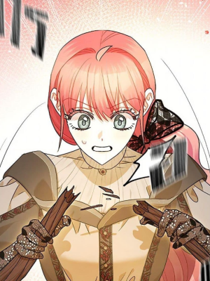 Chapter 95.0