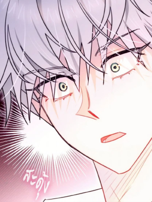 Chapter 41.0