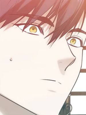 Chapter 62.0