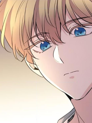 Chapter 54.0