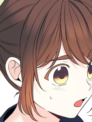 Chapter 95.0