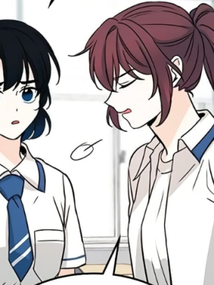 Chapter 161.0